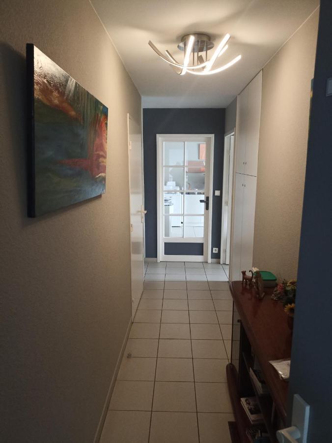 Bayonne Appartement 63M2 Avec Terrase Parking Wifi Exteriér fotografie